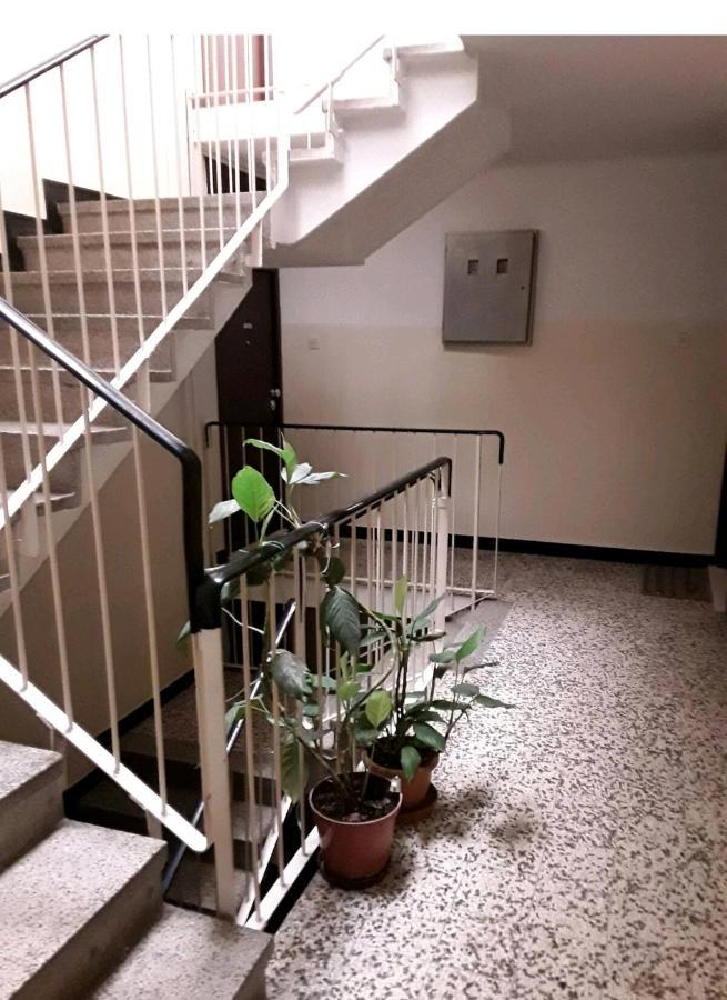 Apartment Vlatka Сплит Экстерьер фото